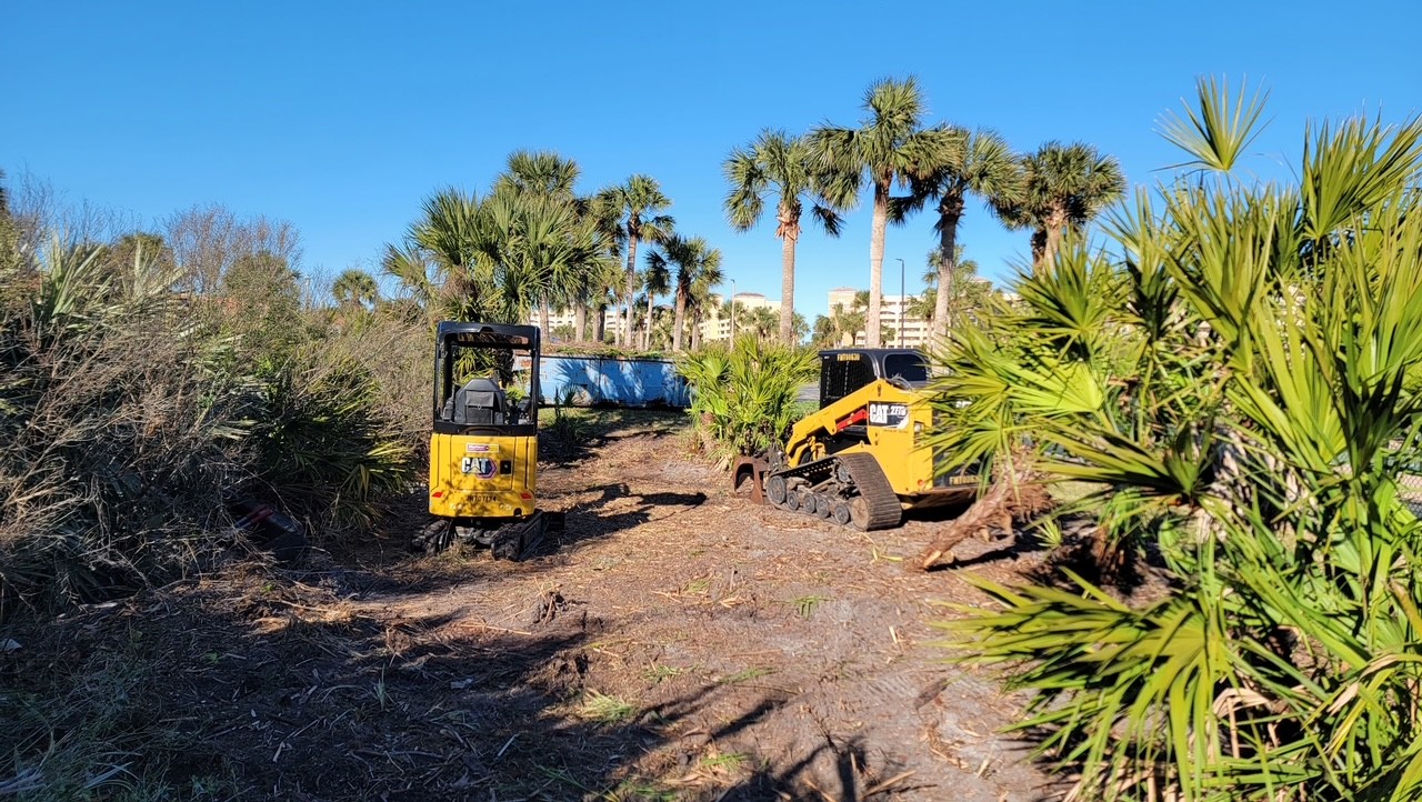 Mini excavator and skid steer clearing palms and brush for a backyard grading project